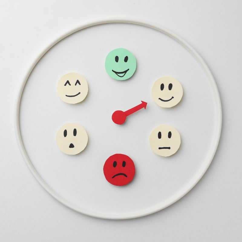 GUIDE COMPLET GESTION DES ÉMOTIONS (Valeur : 79€)